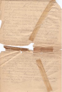 Реч на Райчо Каролев пред учителския събор, 1893 г. - снимка 1