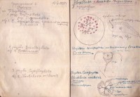 Тетрадка за упражнения по зоология, 1937/38 г.  - снимка 2