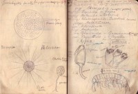 Тетрадка за упражнения по зоология, 1937/38 г.  - снимка 4