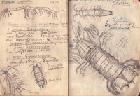 Тетрадка за упражнения по зоология, 1937/38 г.  - снимка 5
