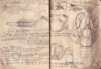 Тетрадка за упражнения по зоология, 1937/38 г.  - снимка 6