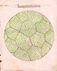 Тетрадка за упражнения по ботаника, 1939/40 г.  - снимка 4