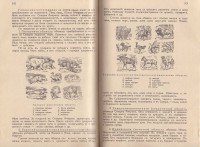 Четива по обща география на Азия, 1940 г. - снимка 7