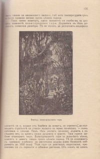 Четива по обща география на Азия, 1940 г. - снимка 8