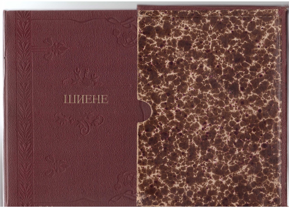 Албум за Фрьобелови занятия, шиене. Нач. на XX в.