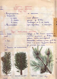Тетрадка по ботаника , 1975/76 г. - снимка 3