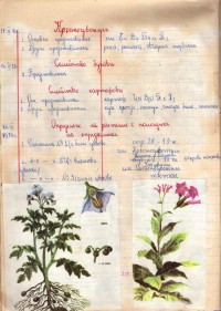 Тетрадка по ботаника , 1975/76 г. - снимка 4