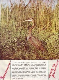 Тетрадки по зоология, 1975/76 г. - снимка 2