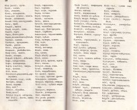 Кратък турско-български речник от Пенчо Радов, 1851 г. - снимка 3